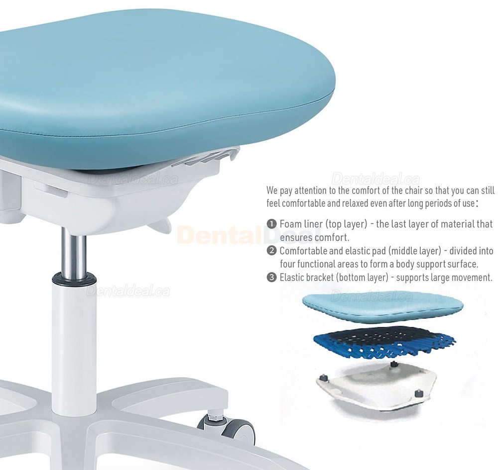 TYTC PLST-064-067 Dental Hygienist Chair Ergonomic Dentist Operator Stool with Backrest